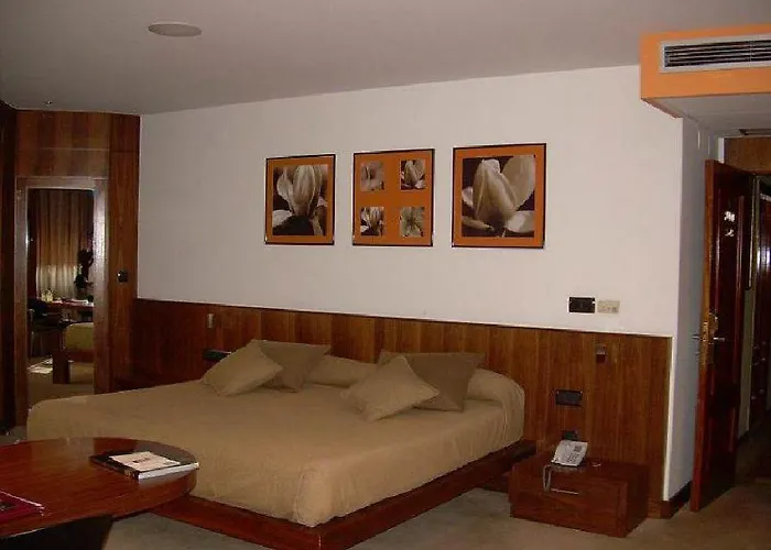 Otel Francisco Ii 4*